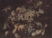 unknow artist Still life of red and white grapes,peaches and plums,on a stone ledge oil on canvas